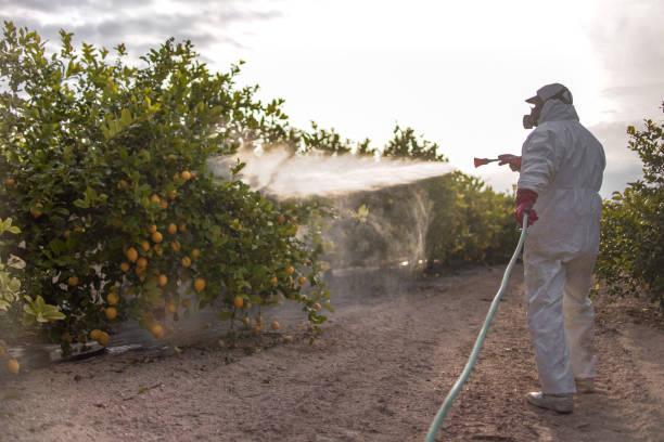 Best Exterminator Services  in Springfield, CO