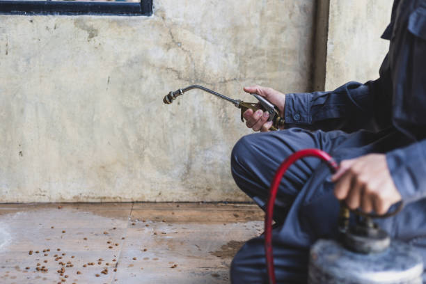 Best Pest Inspection Near Me  in Springfield, CO